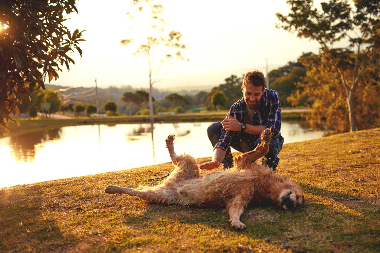 Probiotics vs Prebiotics: What Does Your Dog Really Need?