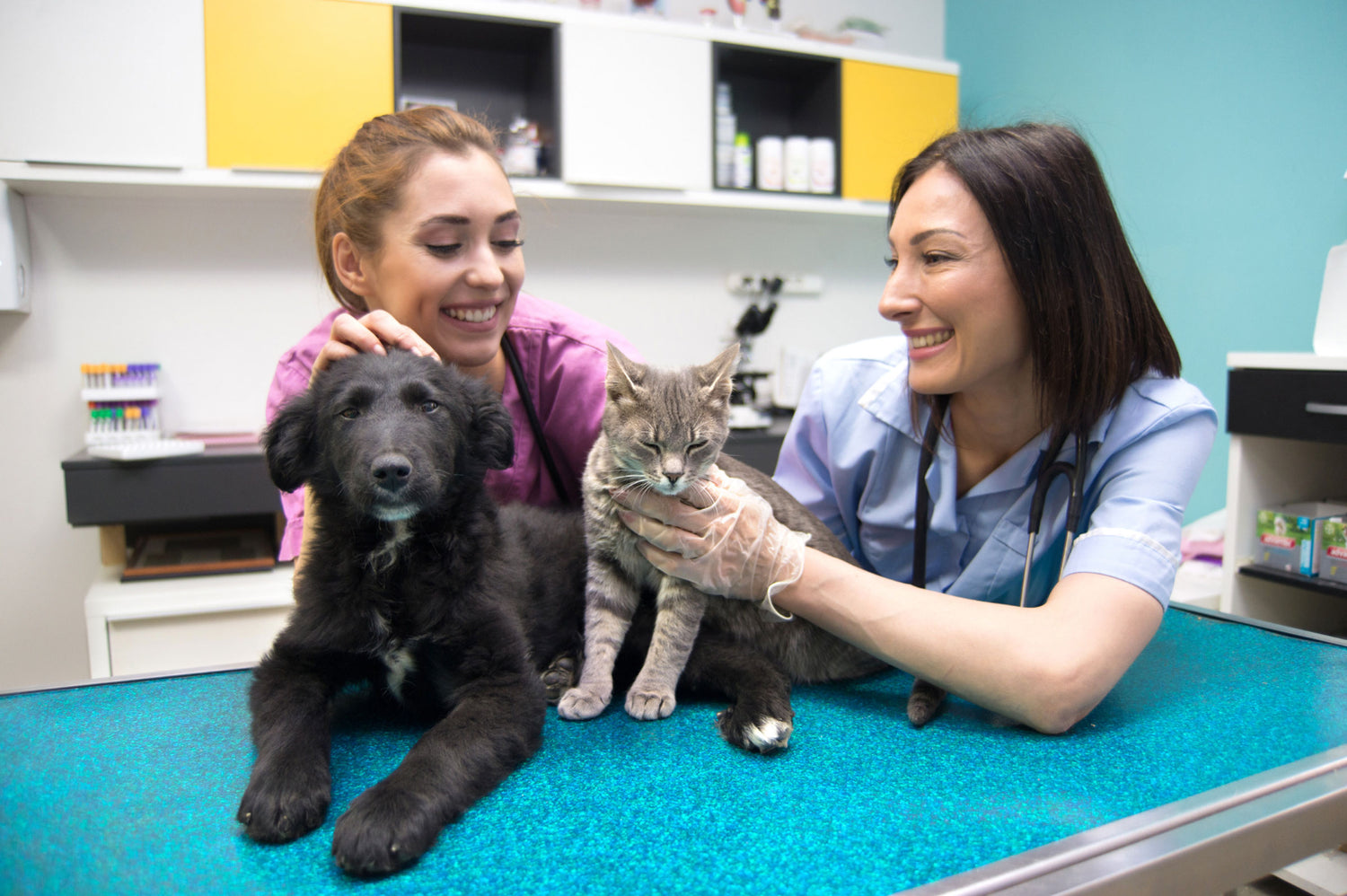 Pearly Whites for Paws and Claws: Proper Dental Care for Pets