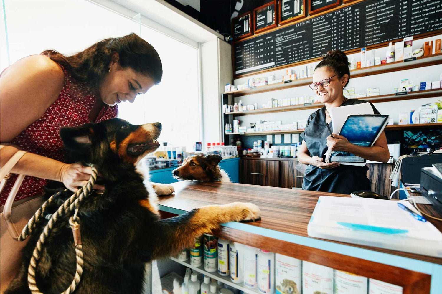 Are You Giving Your Pet the Right Combination of Supplements?