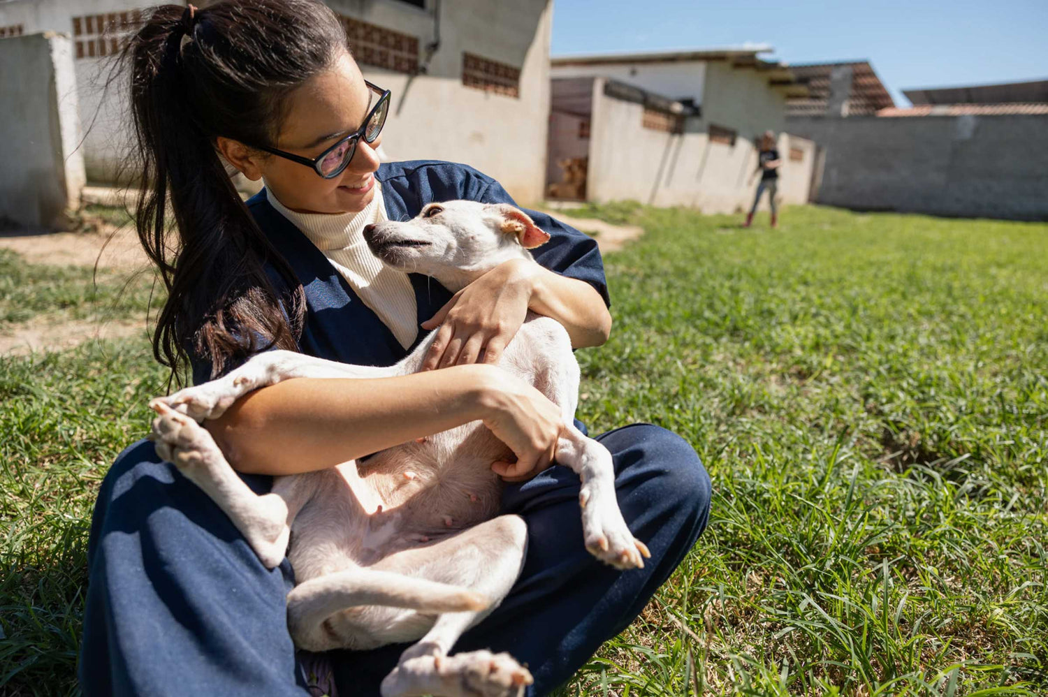 MSM for Dogs: Natural Joint Support That Works