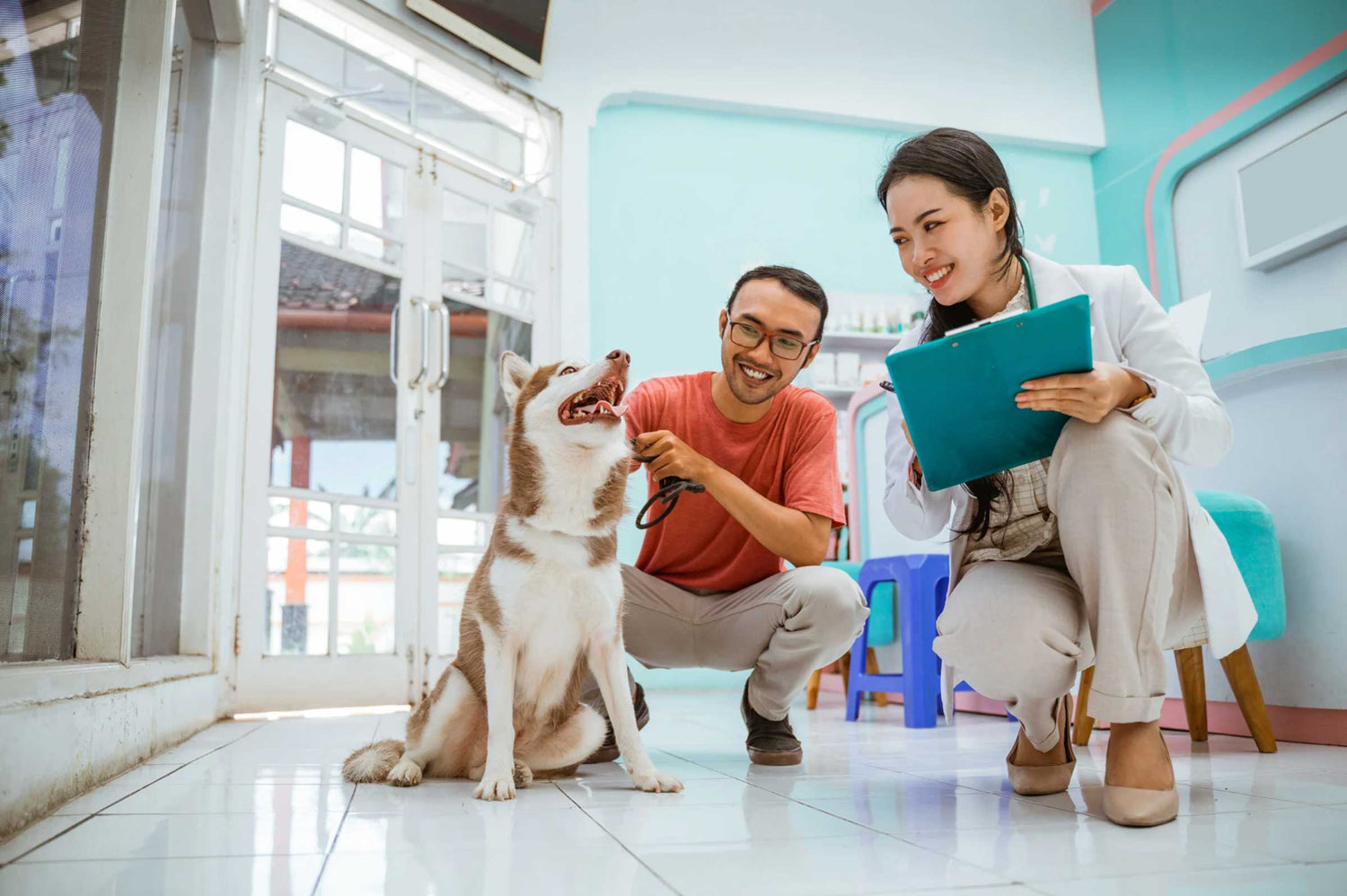 Does My Pet Have Cancer? Here are 10 Warning Signs