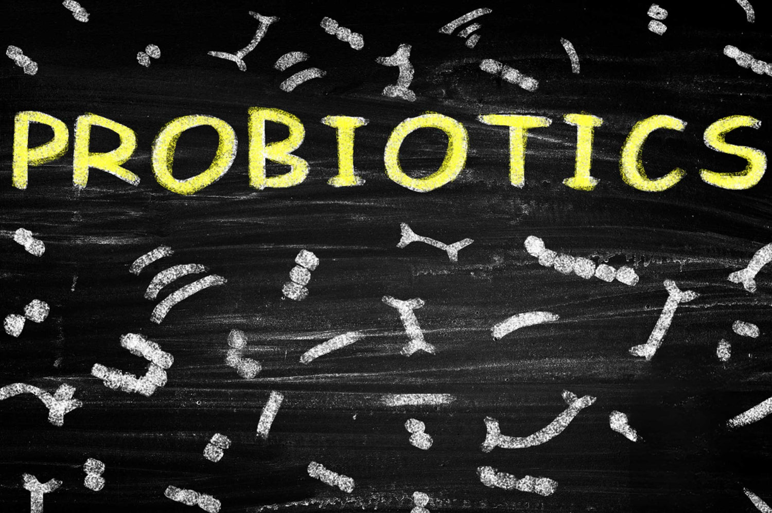 Probiotics for Dogs: Improve Digestion & Gut Health