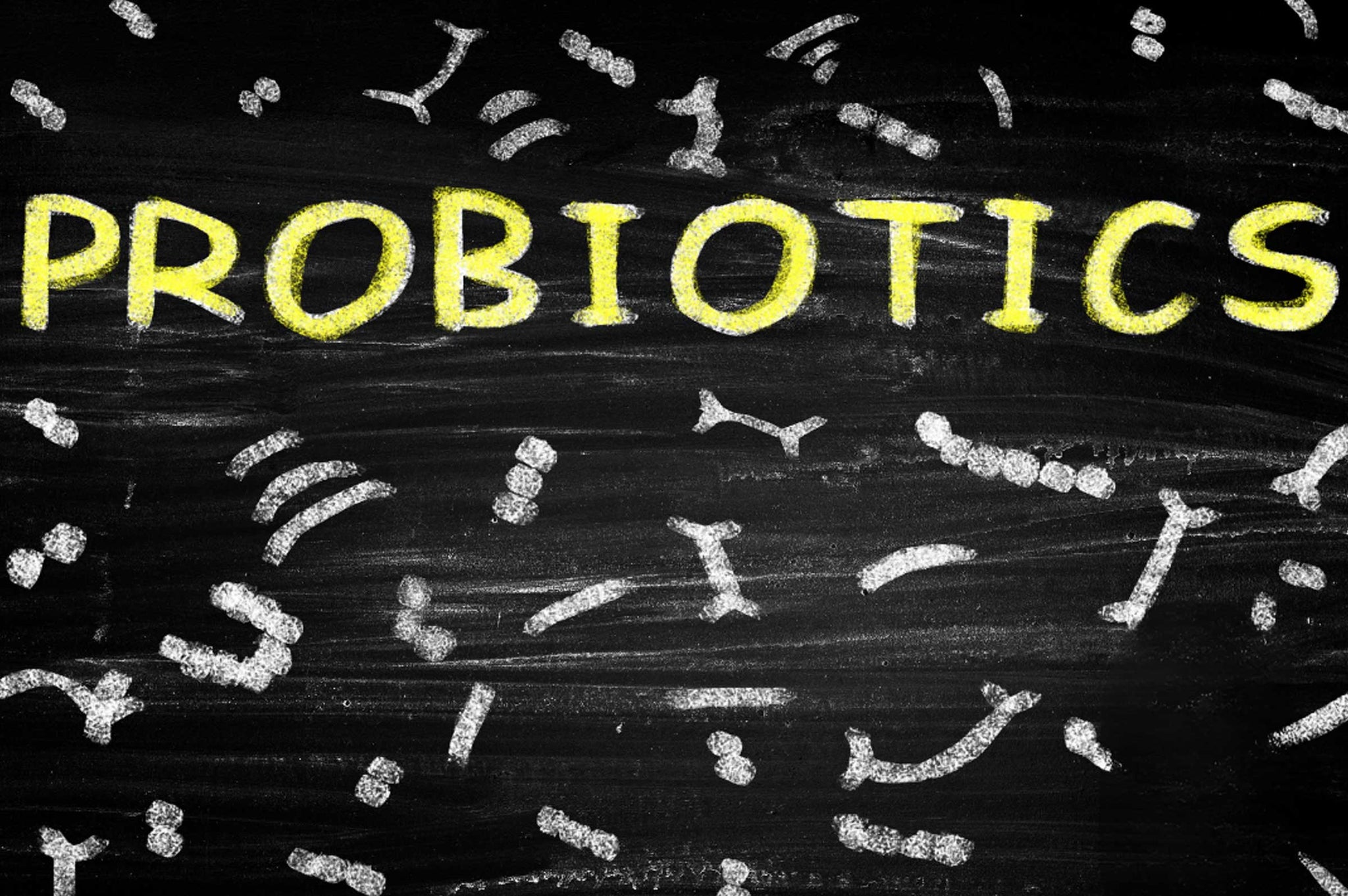 View of Probiotics for Dogs: Improve Digestion & Gut Health