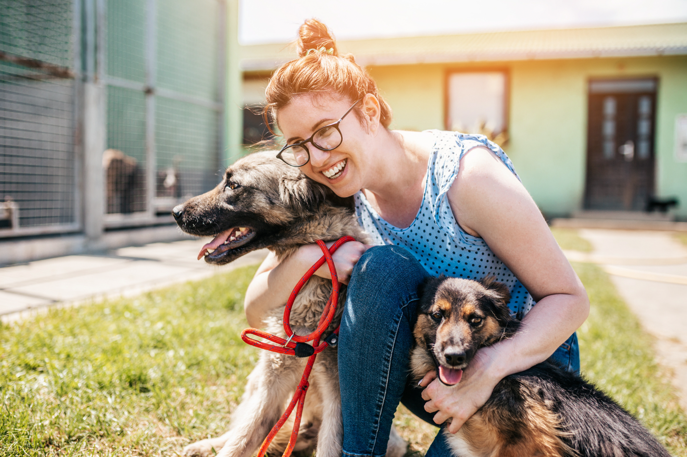 Integrating Holistic Pet Care into Your Daily Routine