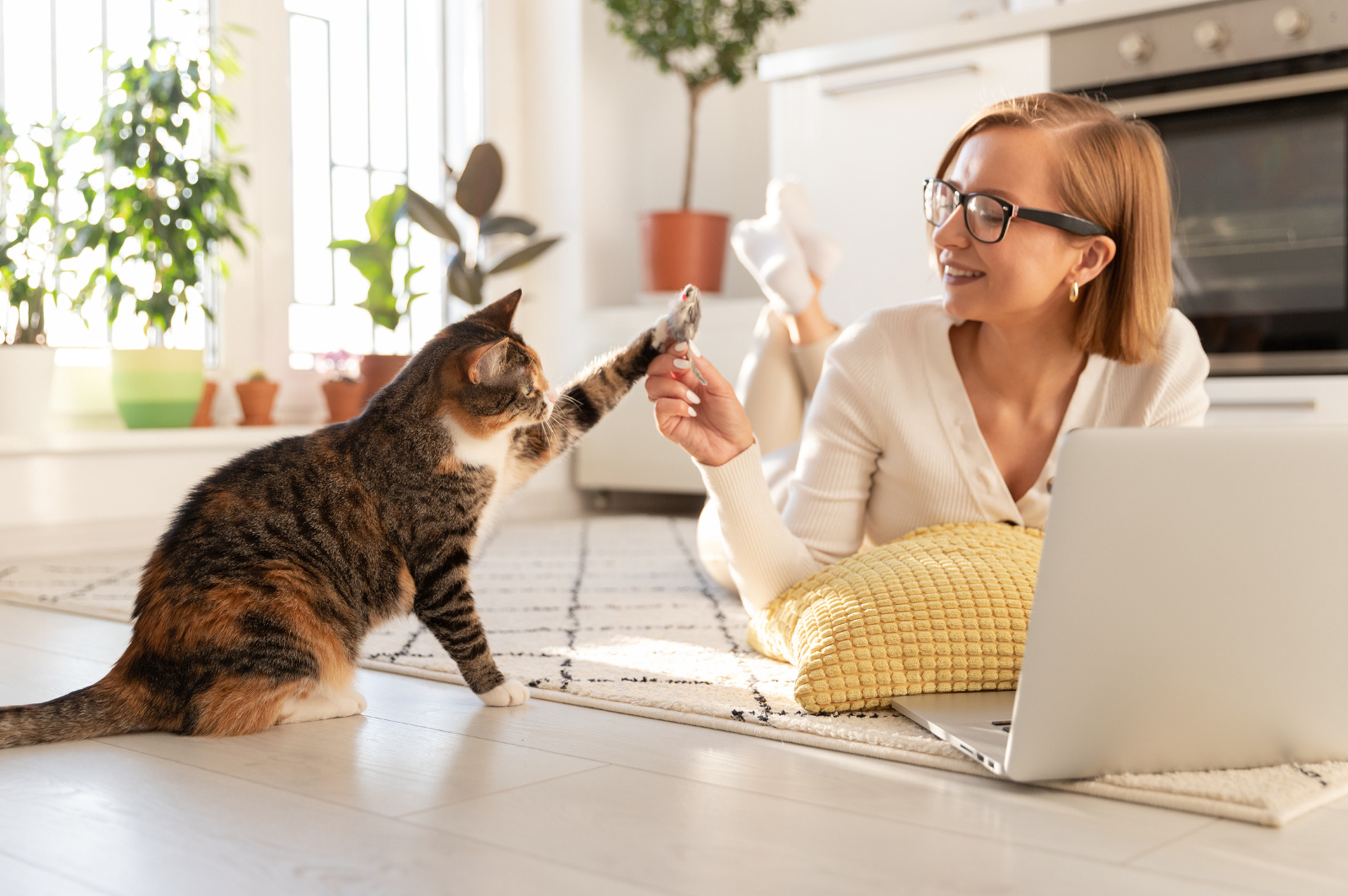 “My Dog (Or Cat) Won’t Eat It!” 6 Tips on How To Get Your Picky Pet To Adapt to Changes in Their Diet