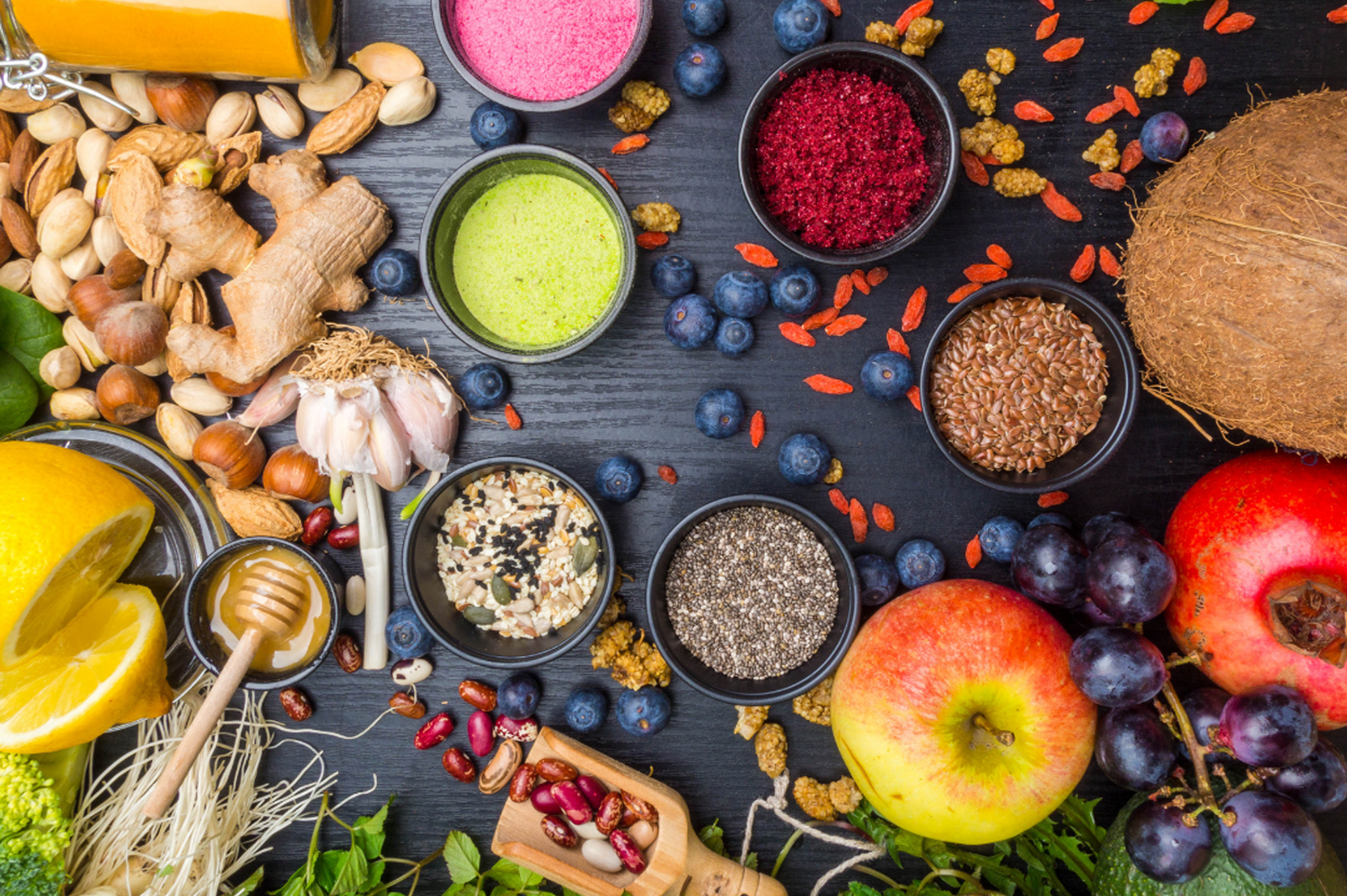 The Power of Antioxidants for Your Pet's Health and Nutrition