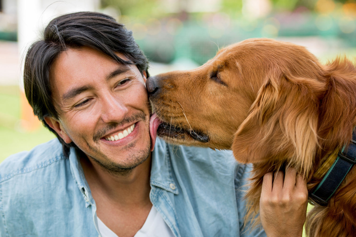Understanding Why Your Dog Chews Your Hair: Exploring Canine Behavior