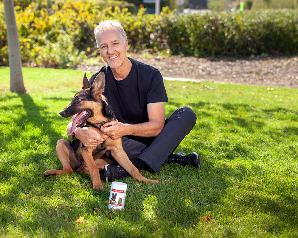 4 Medicinal Mushrooms That May Protect Your Pet Against Cancer