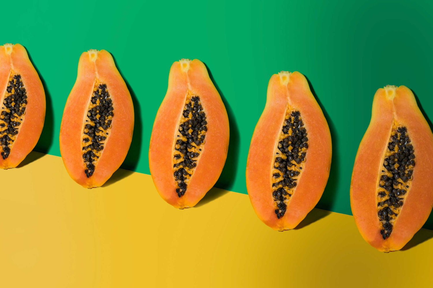 Papaya Probiotics for Dogs: Boost Gut & Immune Health