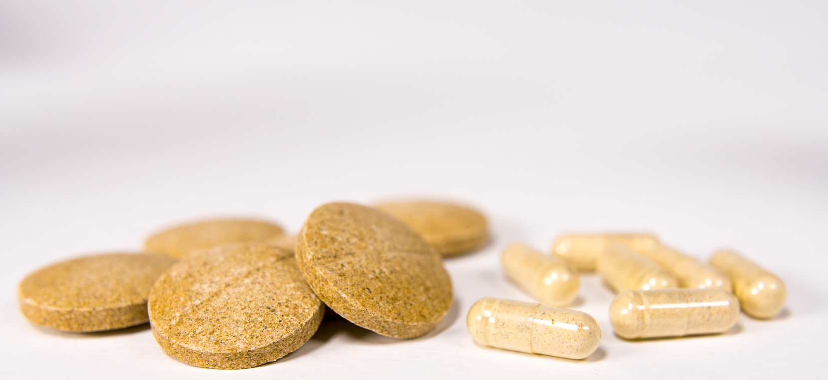 What Type of Probiotics Should I Give My Dog?