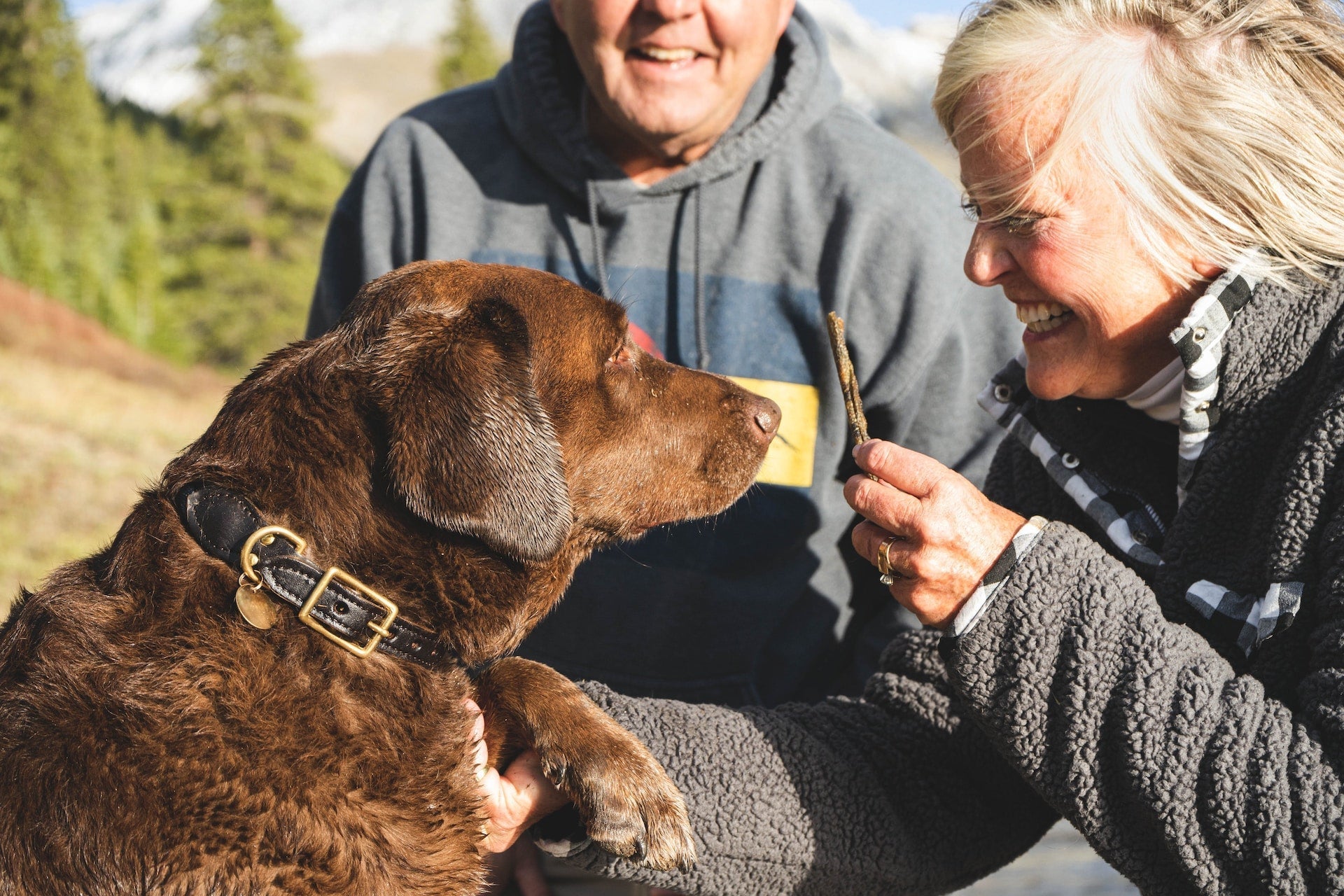 Two pet parents with their healthy dog, getting ready to give a healthy treat with turmeric