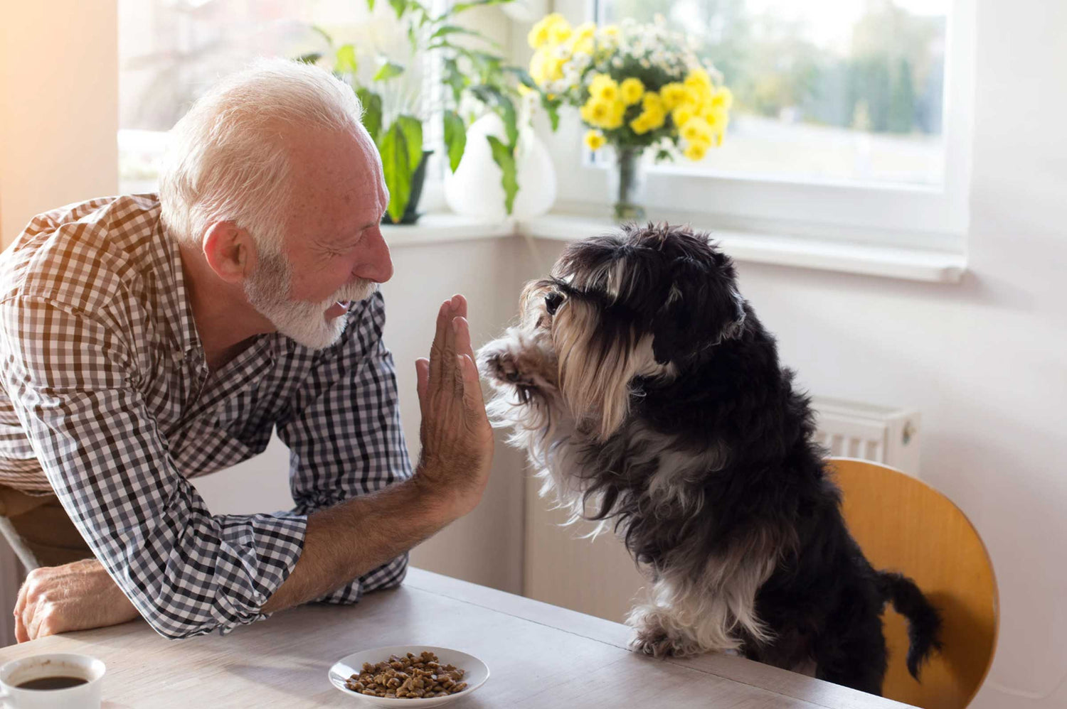 What’s Bugging Your Dog’s Belly? The Best Probiotics to Help