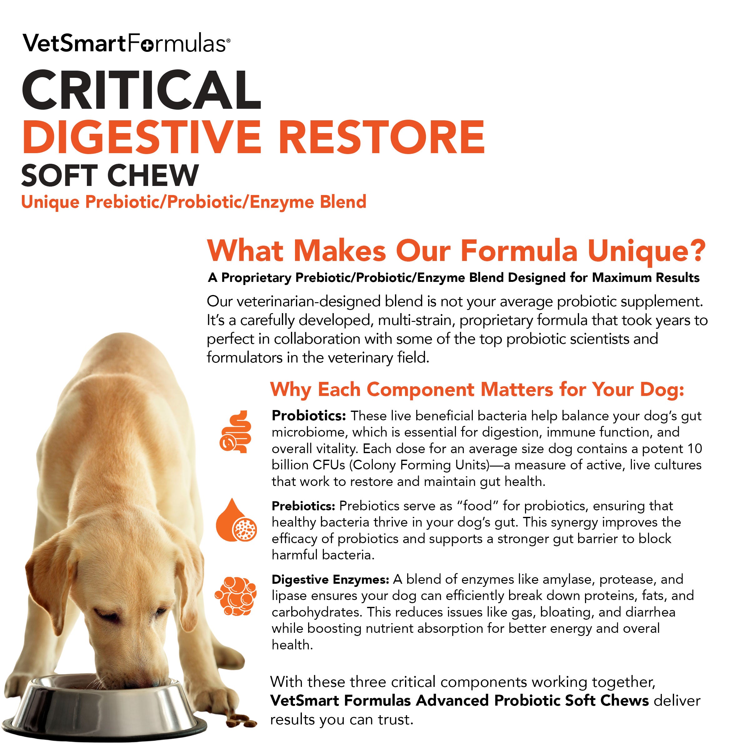 Critical Digestive Restore for Dogs