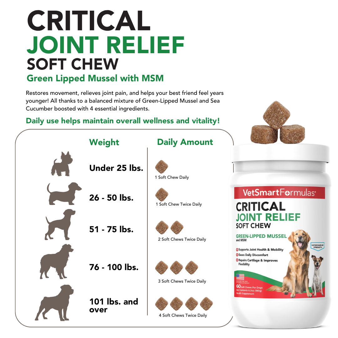 Critical Joint Relief for Dogs