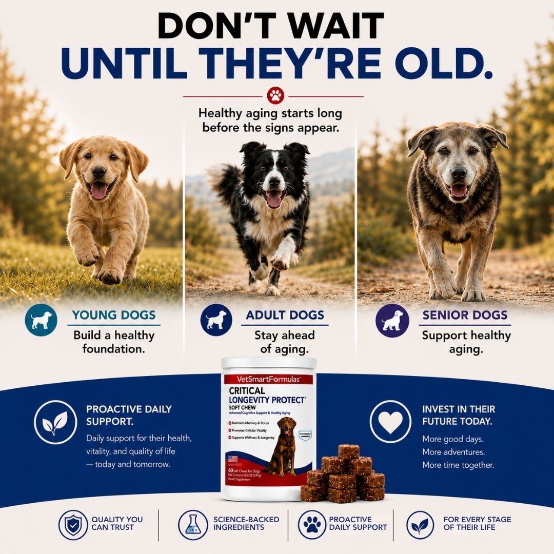 Critical Longevity Protect for Dogs
