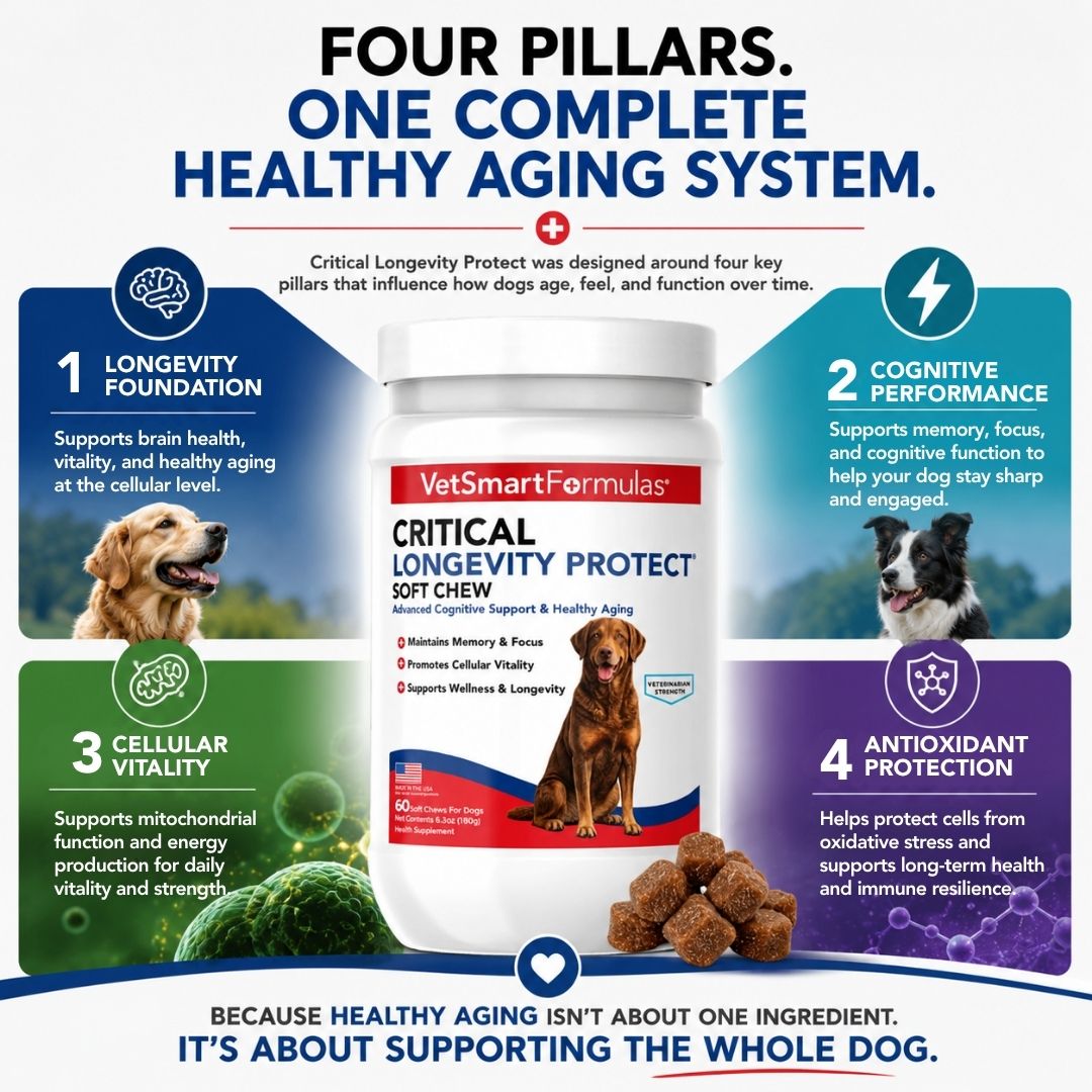 Critical Longevity Protect for Dogs
