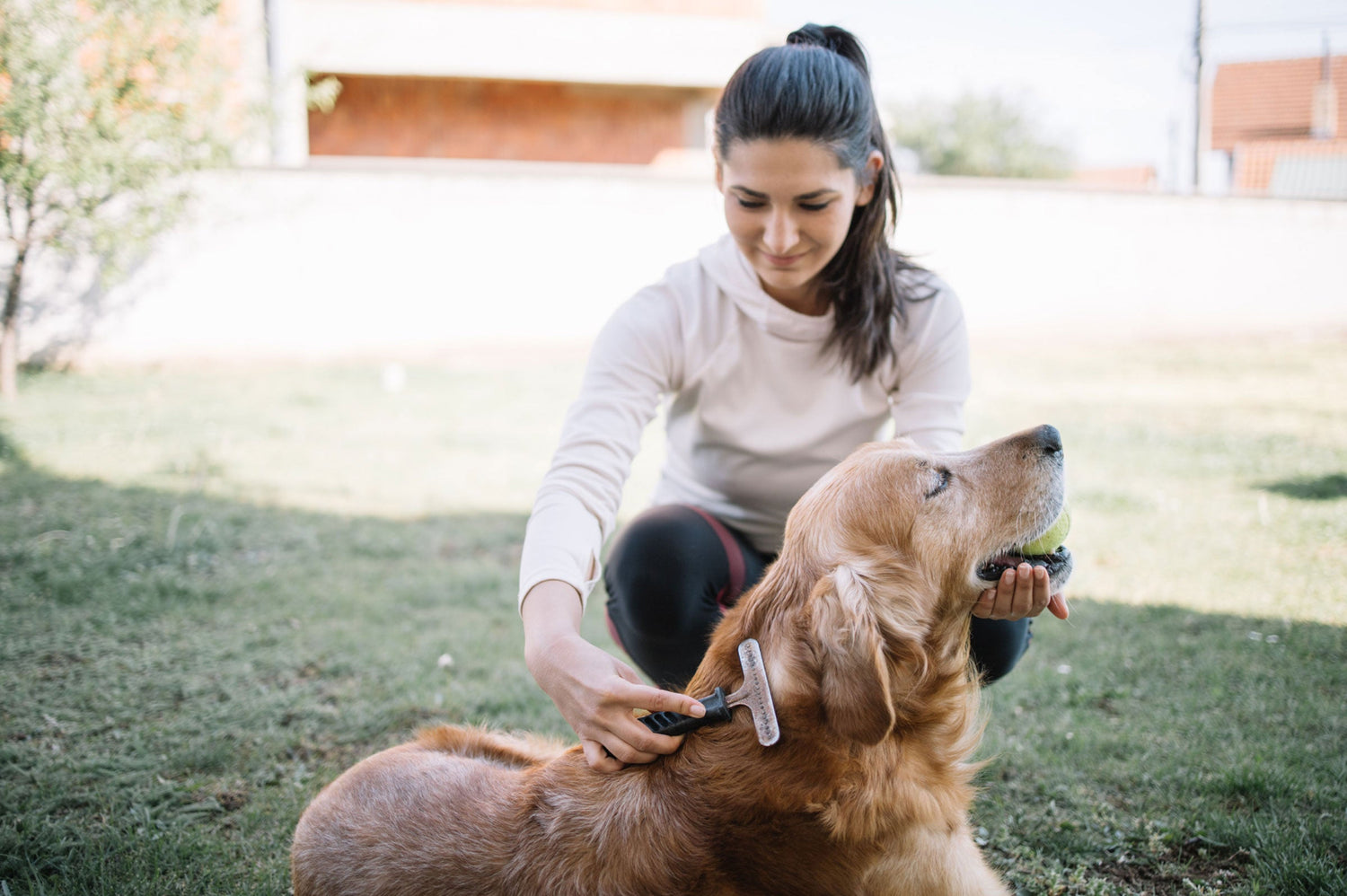 Flea-dom Fighters: Choosing Safe Ingredients for Pet Flea Control