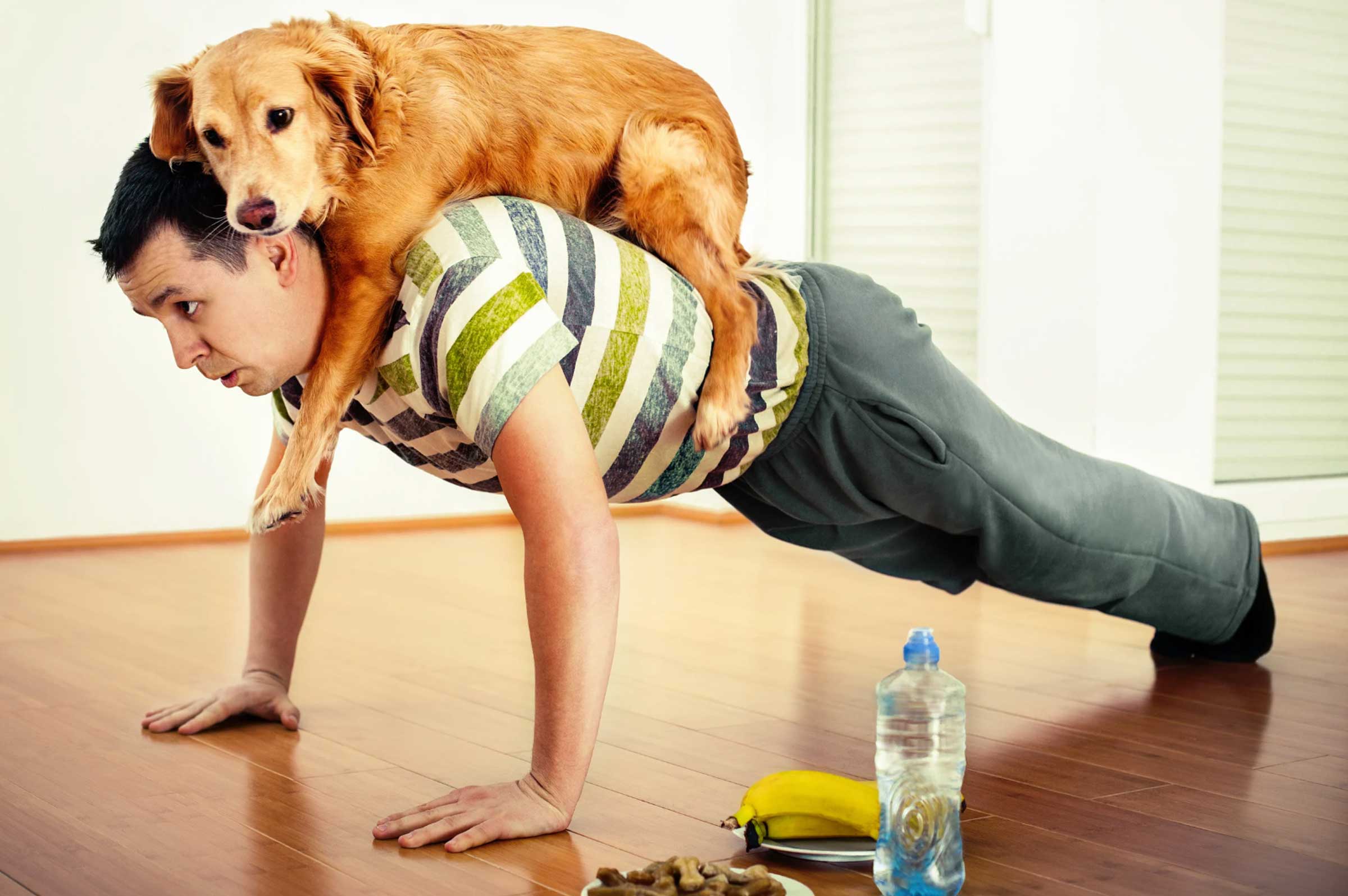 Understanding Your Dog's Exercise Needs by Breed