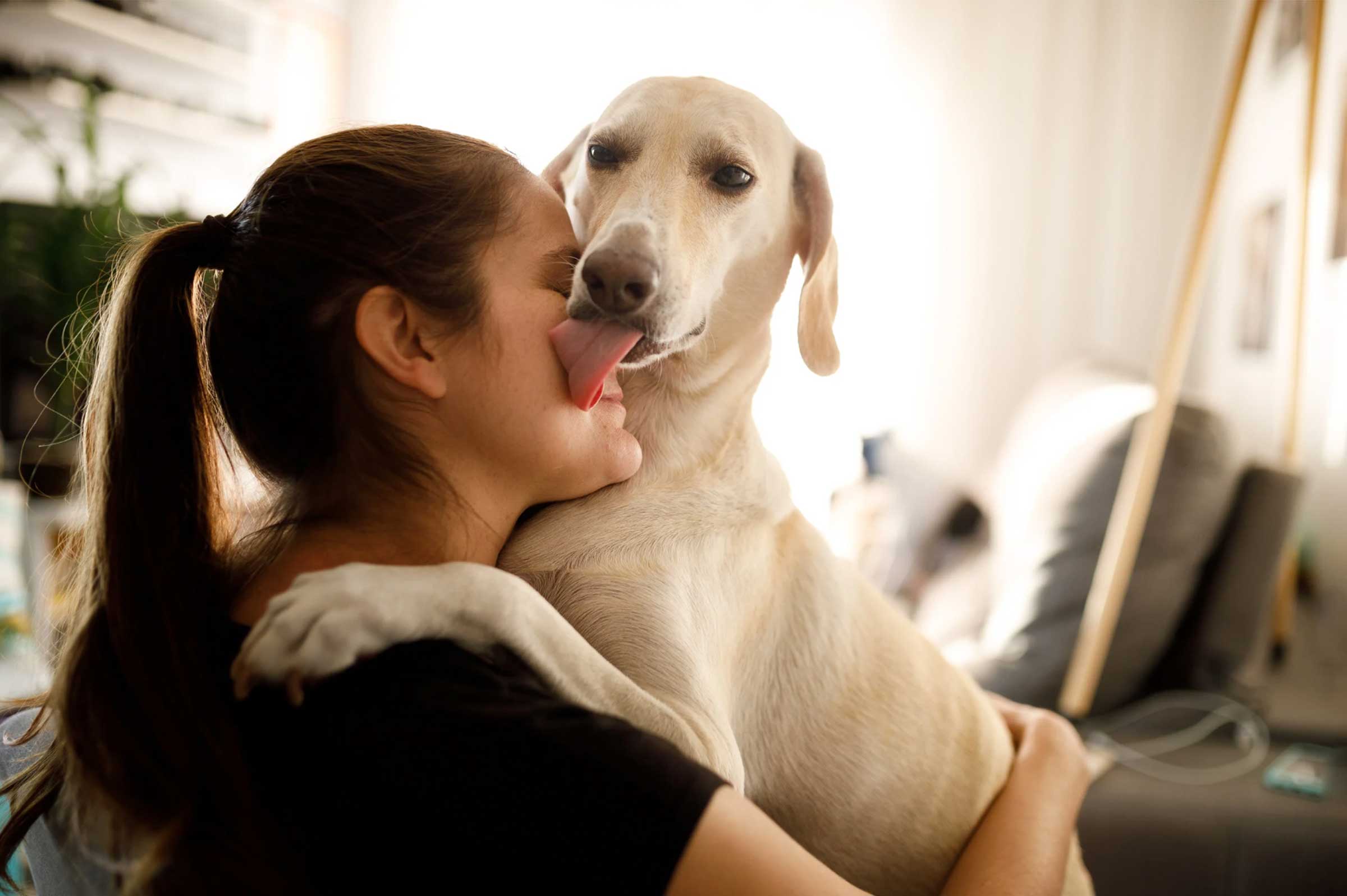 Paws for Cuddles: Why Your Independent Dog is Suddenly Clingy at Night