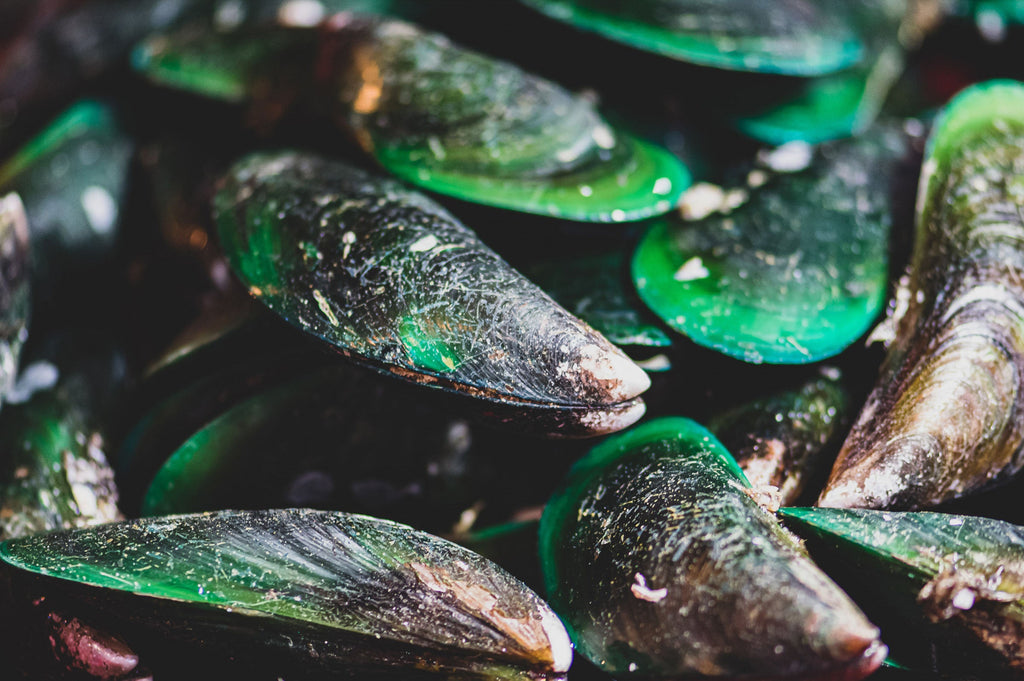 g m c green lipped mussel Swanson Mussel, 30 Softgels flexible joints The Power of the Sea: