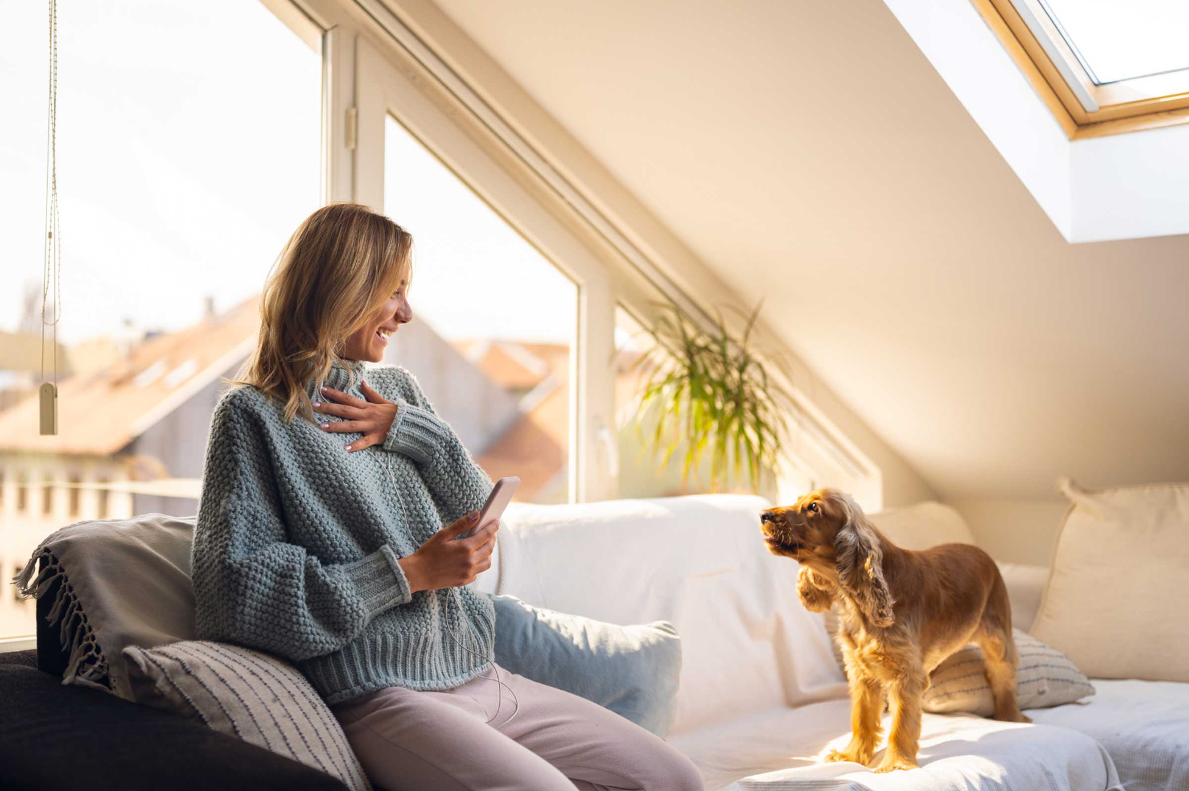 Stop Dog Barking: Tips for a Quieter Home