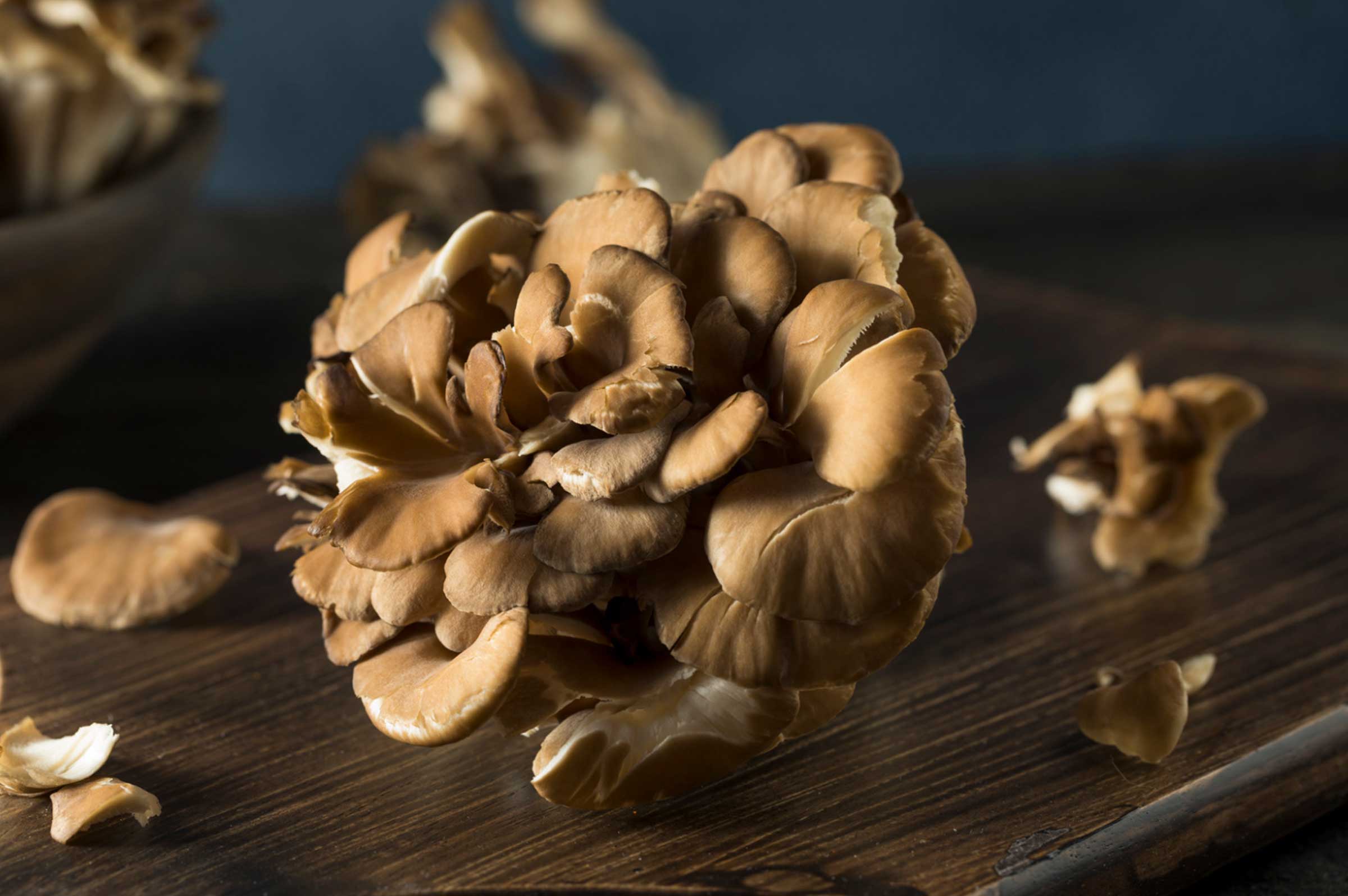 Maitake Mushrooms: A Natural Ally Against Canine Cancer