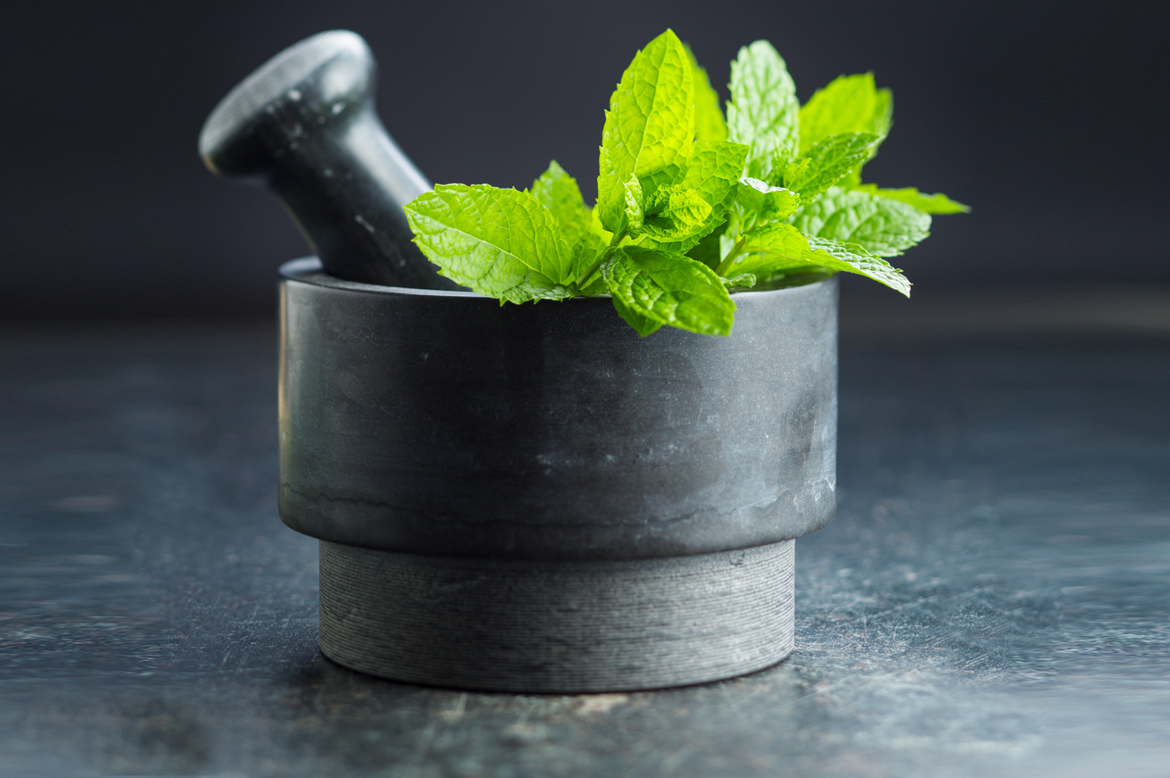 Peppermint Pals or Toxic Treats? The Truth About Mint for Pets