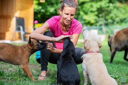 Dog Behavior Problems? Here’s How to Fix Them