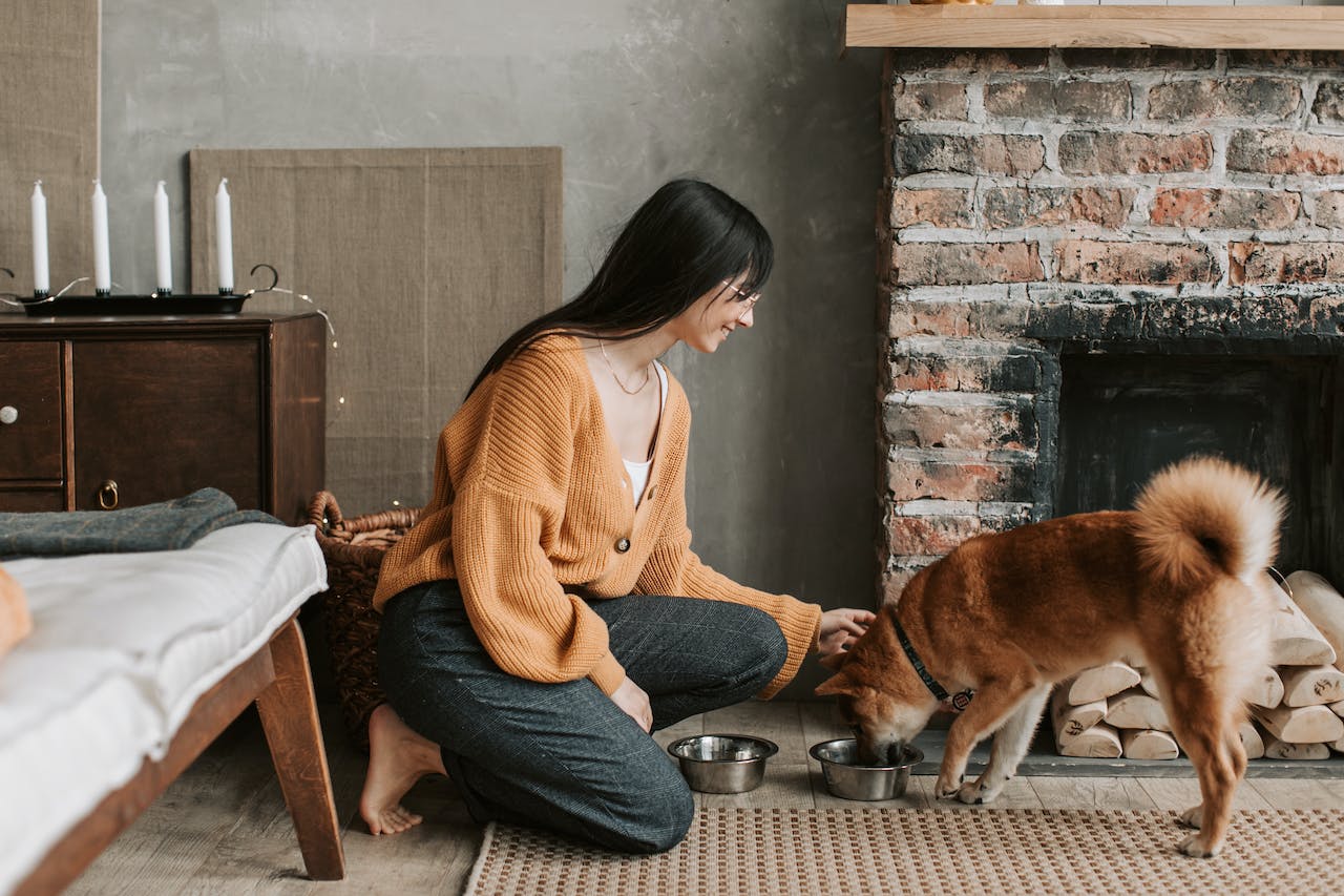 Woman feeding a happy and healthy dog food with great ingredients