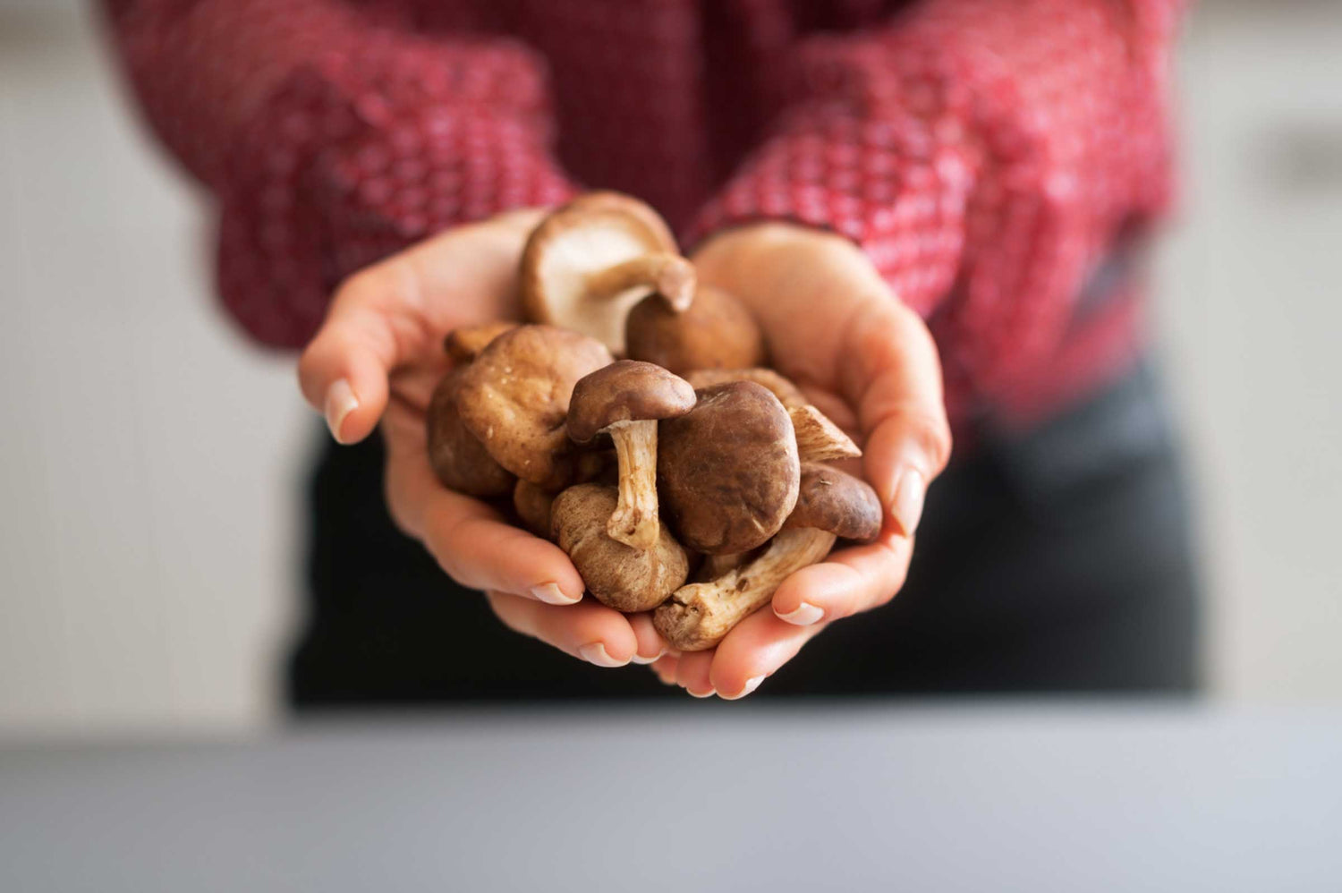 How Shiitake Mushrooms Naturally Combat Canine Cancer