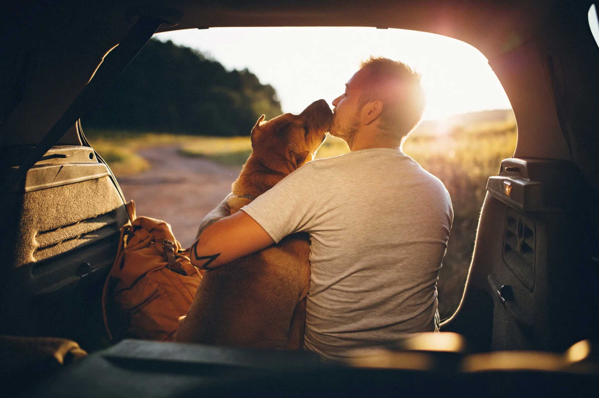 Hope and Healing: Holistic Support for Dogs with Cancer
