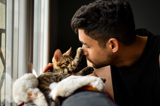 Picture of How Cats Help with Anxiety and Depression: Science Explained