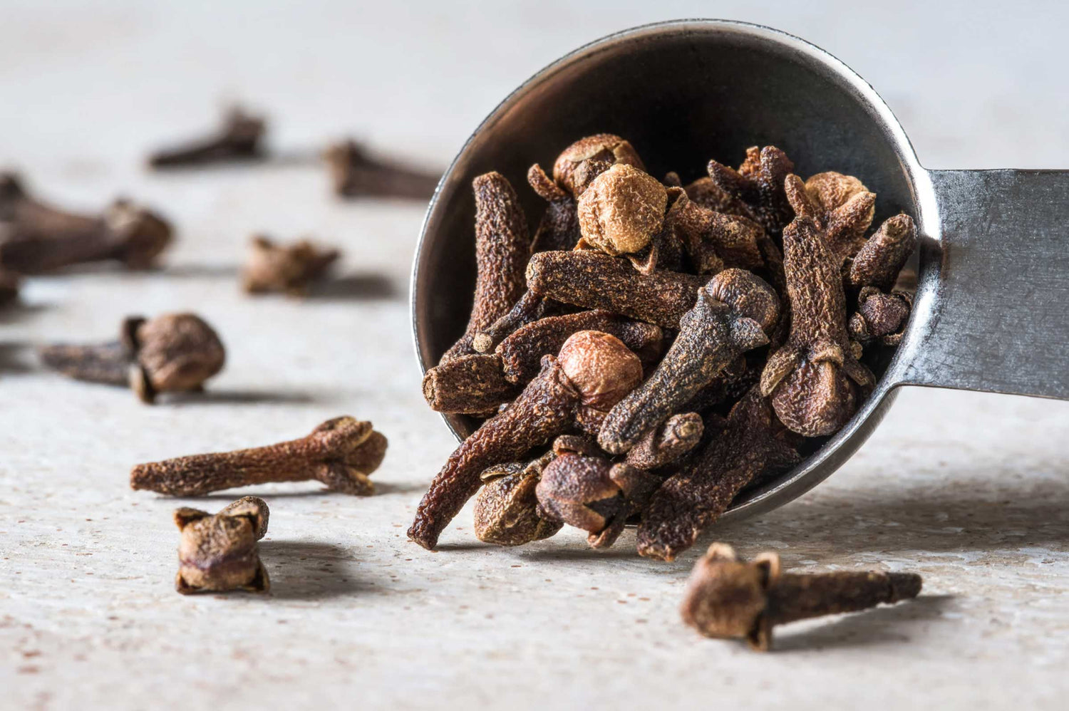 Benefits of Cloves for Your Dog's Oral Health