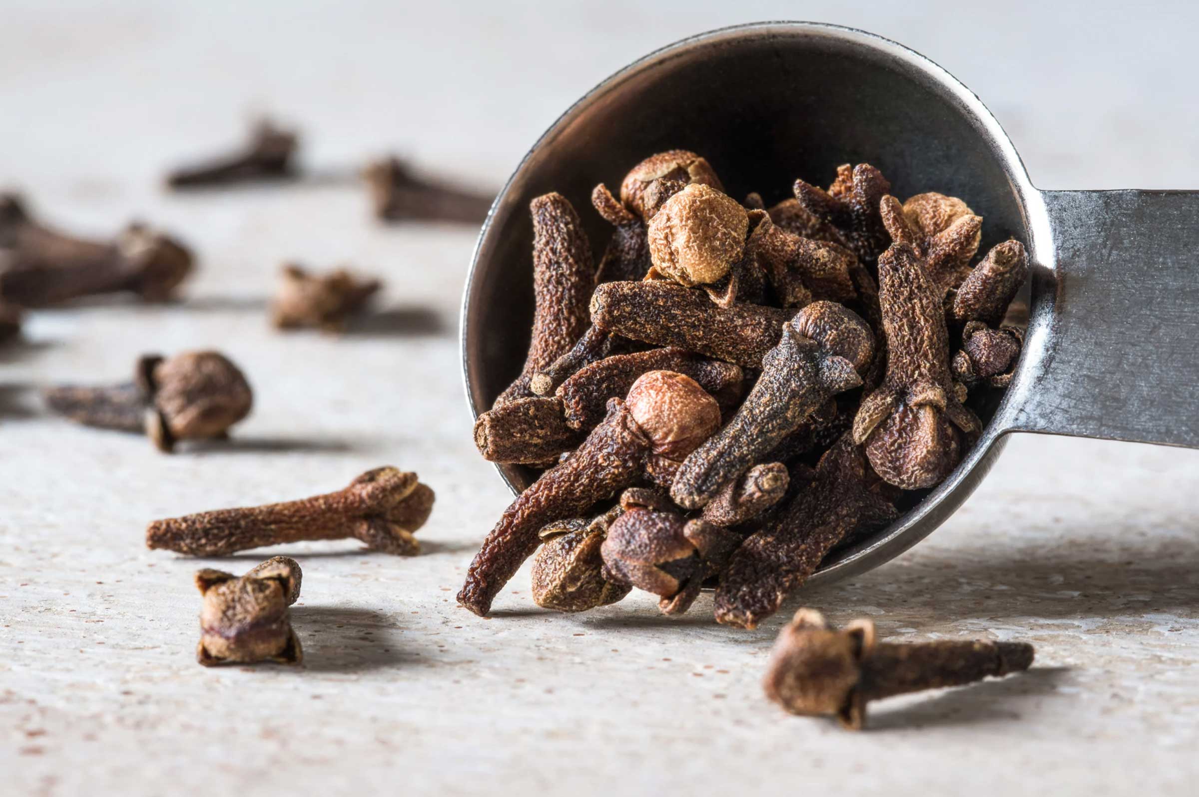 Benefits of Cloves for Your Dog's Oral Health