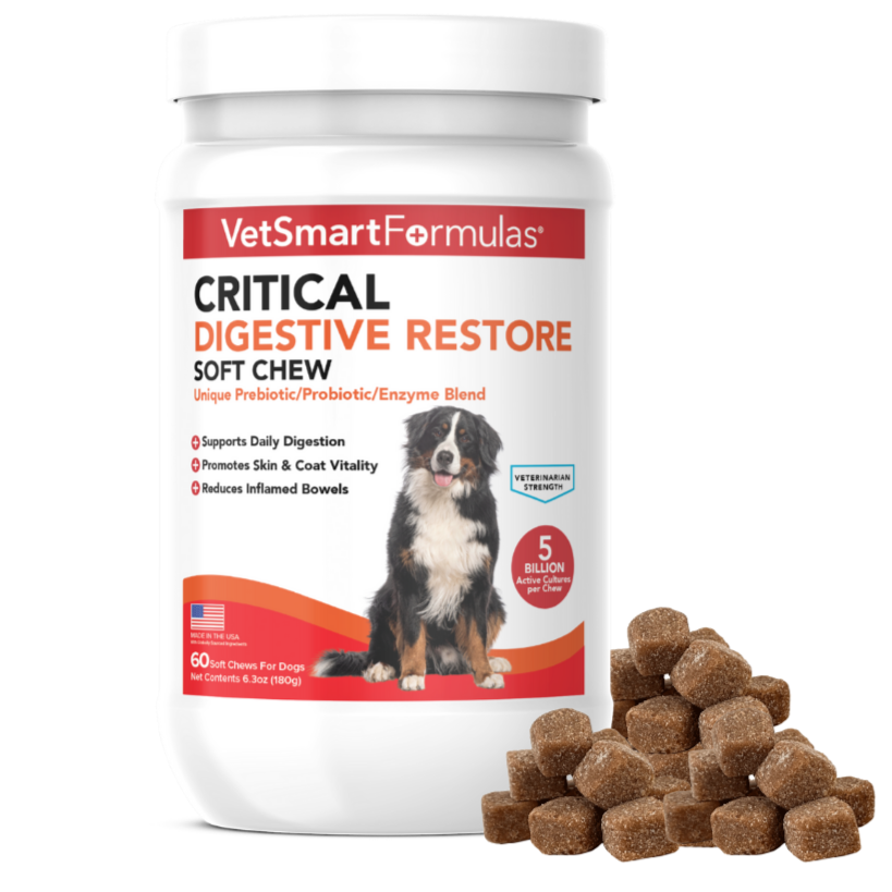 Critical Digestive Restore