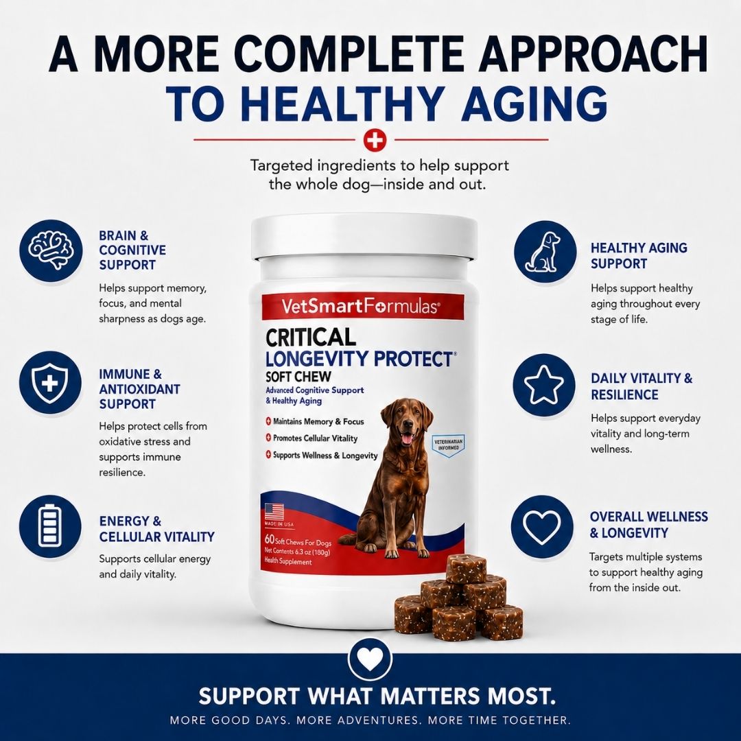 Critical Longevity Protect for Dogs