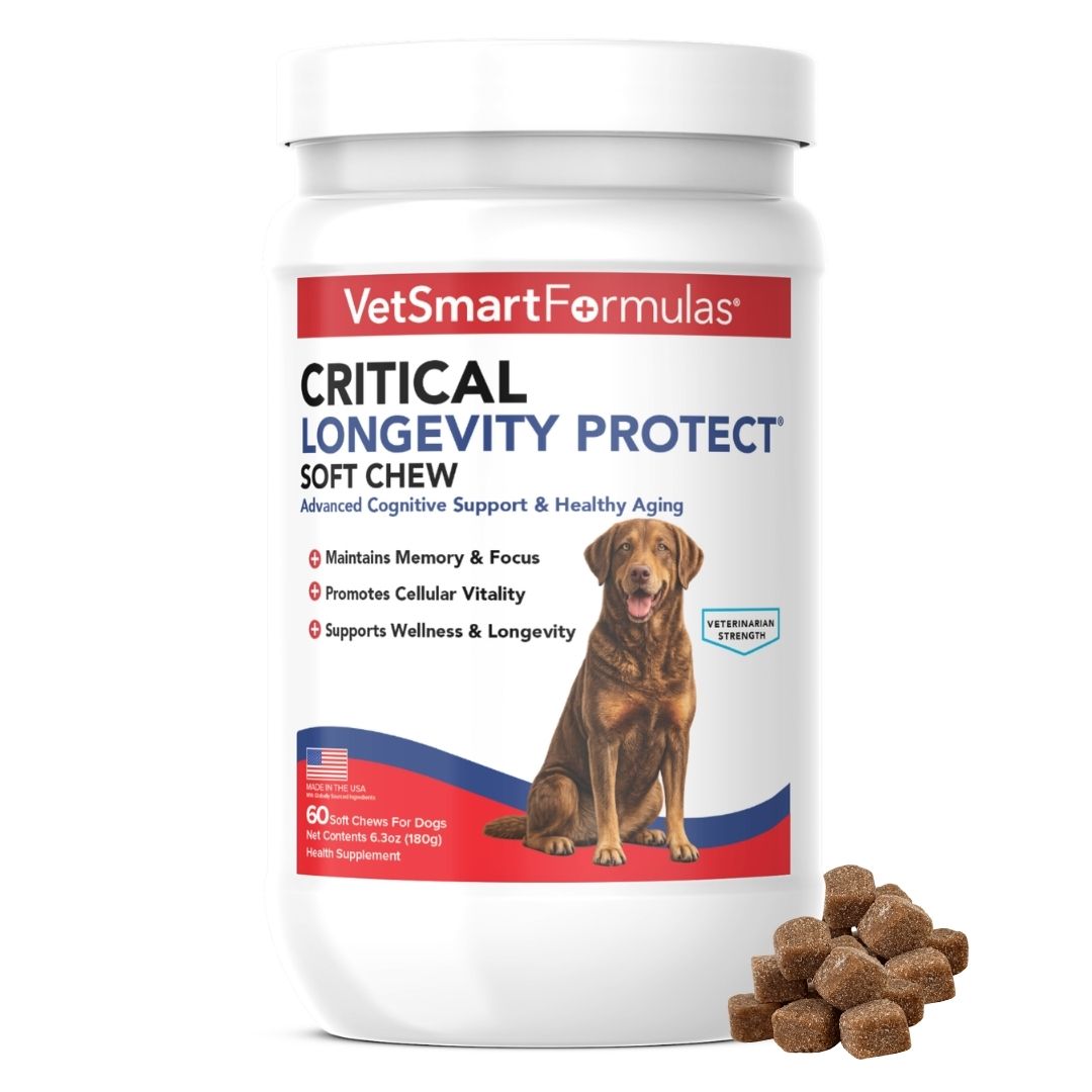 Critical Longevity Protect for Dogs