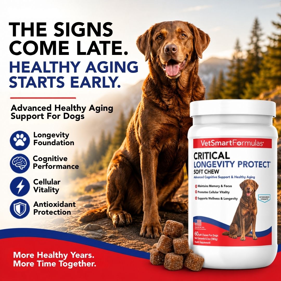 Critical Longevity Protect for Dogs
