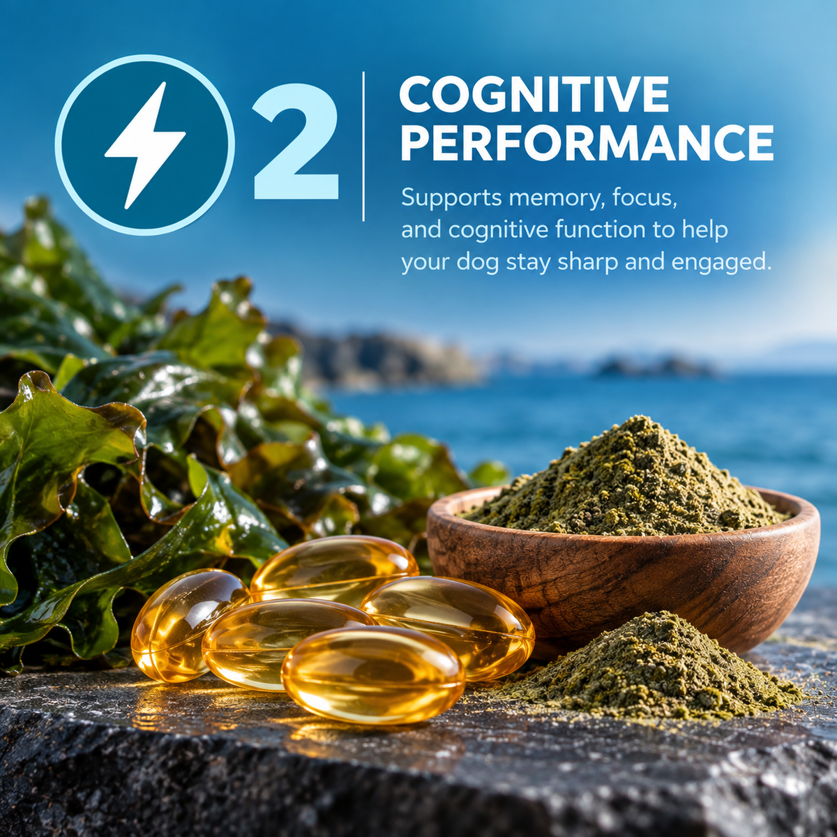 Pillar two, cognitive performance. Algae-derived DHA oil and choline.