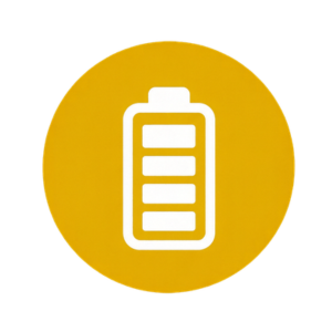 Energy and cellular vitality