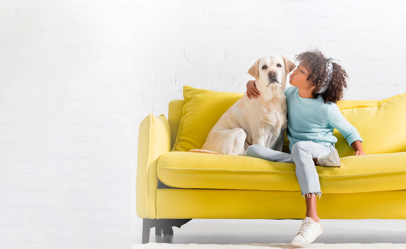 Pet Wellness Products Pet Wellness Direct