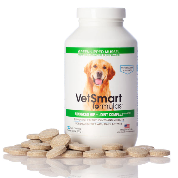 Advanced Hip and Joint Supplement for Dogs With MSM Pet Wellness Direct