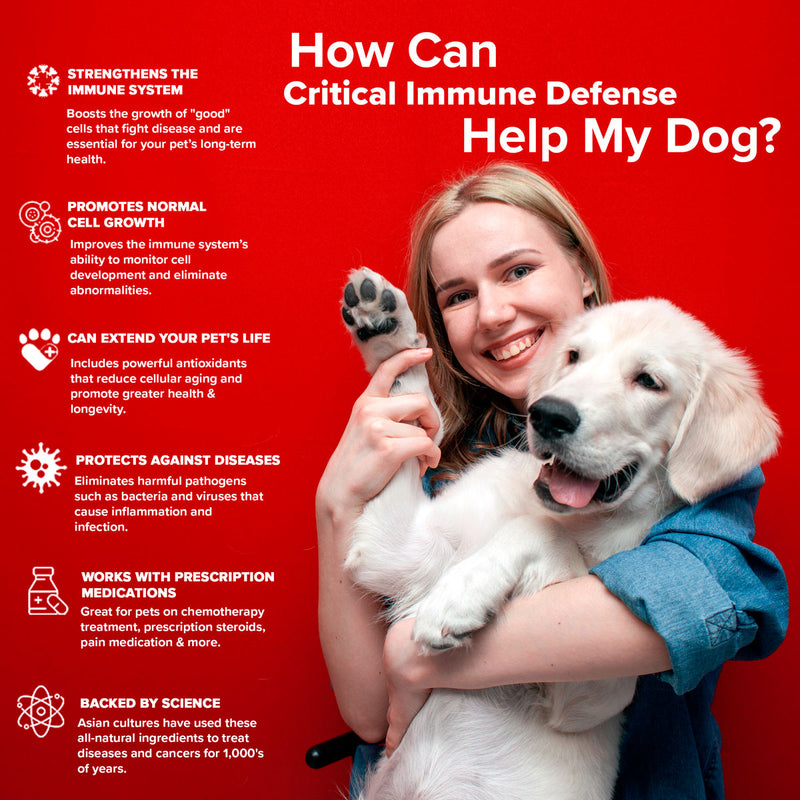 Critical Immune Defense for Dogs and Cats – Pet Wellness Direct