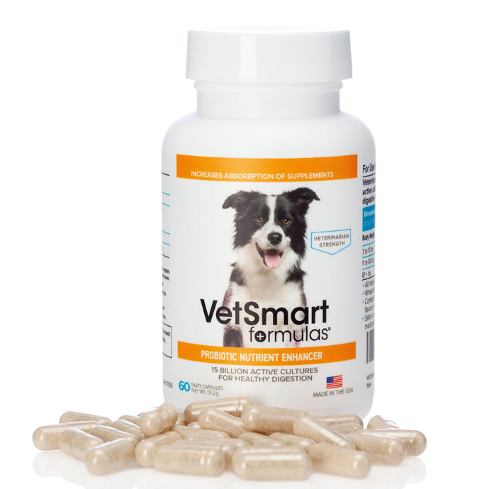 Products Pet Wellness Direct