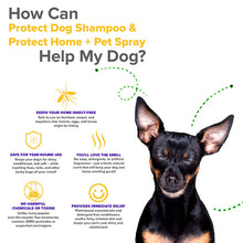 Load image into Gallery viewer, Protect Shampoo | Protect Home Spray
