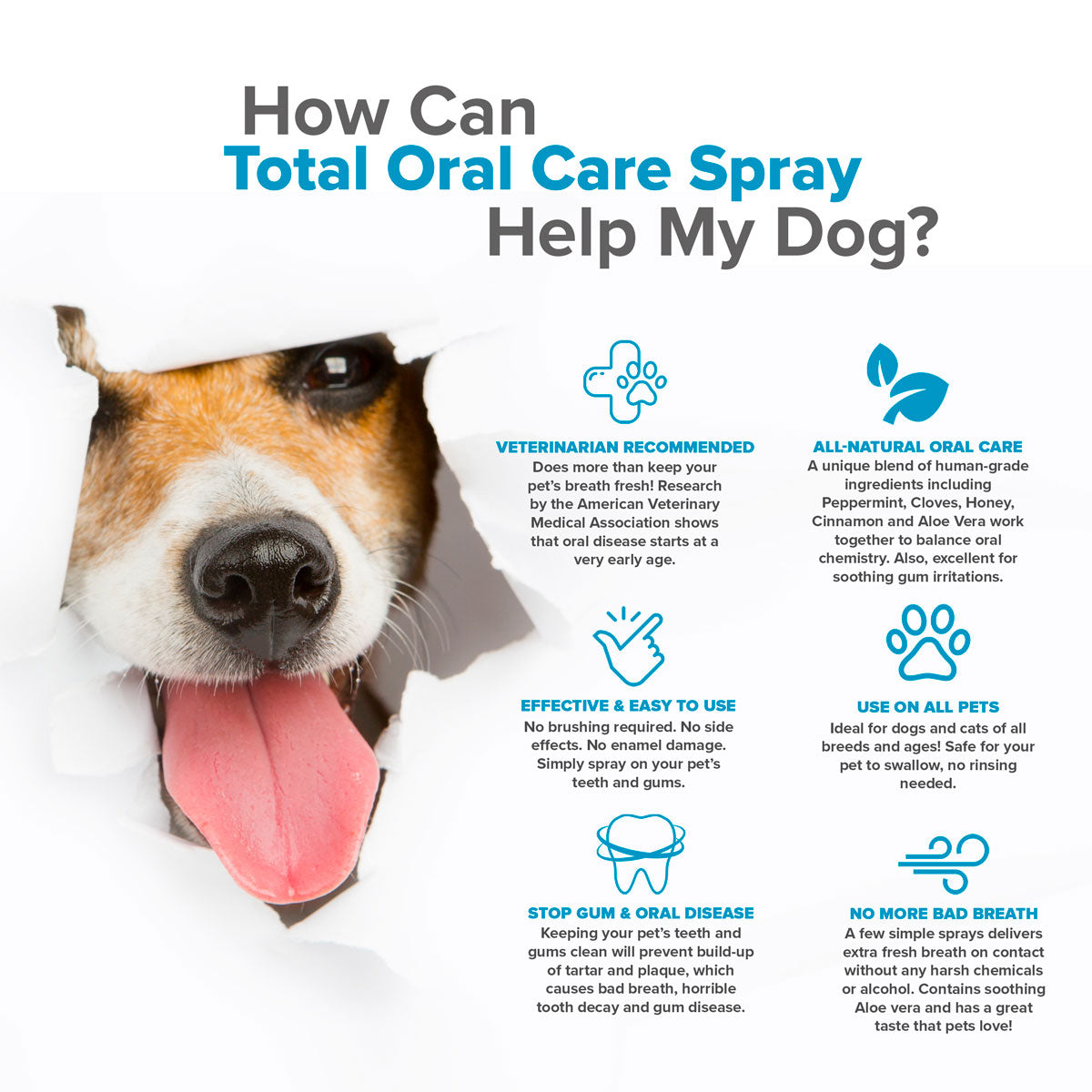 Total Oral Care Spray with Aloe vera ( Mouth Spray For Dogs) – Pet Wellness  Direct